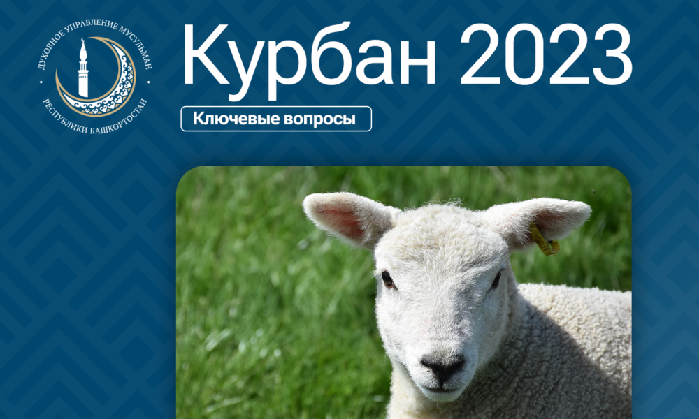 Курбан в 2023 году какого числа. Курбан 2023. Курбан байрам 28 июня 2023. Курбан байрам 2023 год. Курбан байрам Башкортостан.